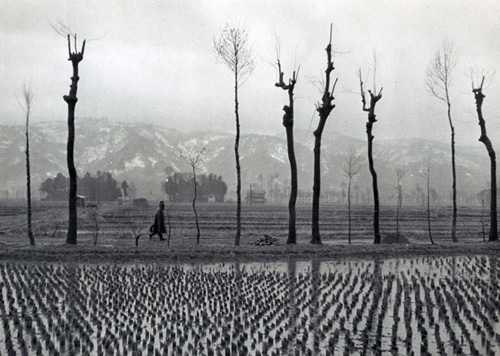 農閑期の雪国。1954年１月、新潟県直江津近郊