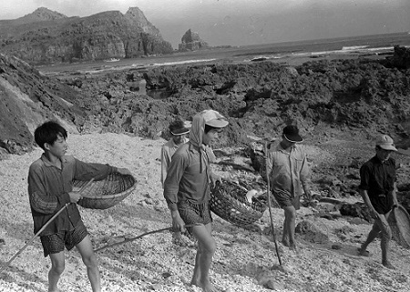 島に上陸し海鳥の成鳥や卵を採る台湾漁民。卵は市場で高く売れるという。1963年５月、北小島で