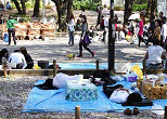 夢うつつ、春の日差しを全身にあび、まったりと場所取りの「大仕事」をこなす。2009年、上野公園の花見