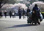 場所取りの仕事で1日数万円をかせぐ住人もいるらしい。2009年、上野公園の花見