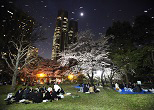 そびえ立つ東京都庁舎の麓の新宿中央公園で花見を楽しむサラリーマンたち。2009年