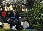 横になって若者たちの宴会が終わるのを待つ公園の住人。今日はどんな食事にありつけるのか。2009年、新宿中央公園