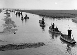 干潮時 、漁民たちは「べか舟」や「まき船」と呼ばれる手こぎの船で一斉に海へと漕ぎ出す。※ 川の左側が海楽、右側が東野地区
