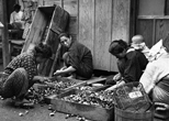 佃煮工場に運ぶ前の「貝むき」は女たちの仕事。「むき包丁」と呼ばれる包丁で手際よく貝をむく。