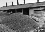 貝灰工場に運び込まれた膨大な貝殻の山。町内には何軒もの貝灰工場があった。