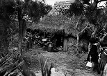 「らい」をわずらった74歳の名嘉カマドさんは、村はずれのアダンとモクマオウの茂みのなかの粗末な茅葺きの家で、27年間ひとり暮らしを続けていた。1960年、沖縄・伊是名島