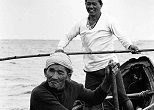 手こぎのサバニを自在にあやつり、追いこみ漁をする男たち。1974年、沖縄・鳩間島