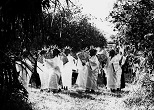 八月ウマチー、健康祈願の日。1963年、沖縄・久高島
