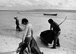 この季節、浜の近くでは貝や海藻もよく採れる。男も女も遠浅の海に出て思い思いに獲物をさがす。1982年3月、鳩間島