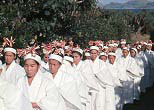 ５日間にわたる様々な儀式を経て彼女たちは「ナンチュ」となり、久高島の祭祀集団の仲間入りを果たす。