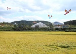 安城市ののどかな田園風景の中に建つ常設劇場。かつて村々をめぐって披露された伝統芸は、ここで観ることができる。2012年９月、韓国安城市