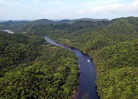 原生林を蛇行する浦内川。2003年、西表島