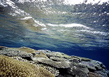 国立公園の指定を受けた慶良間諸島のサンゴの海。2002年